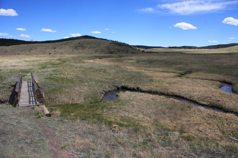 Colorado - Florissant fossil beds national monument (billede 23)