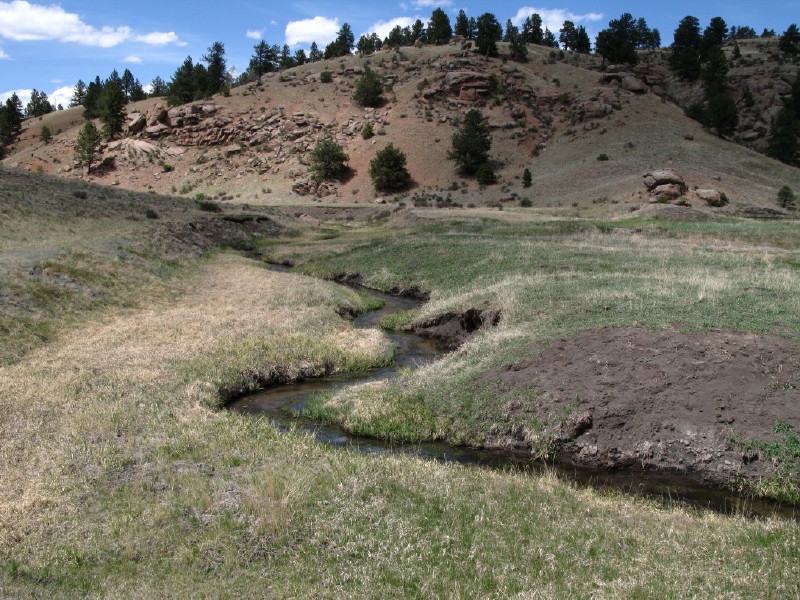 Colorado - Florissant fossil beds national monument (billede 39)