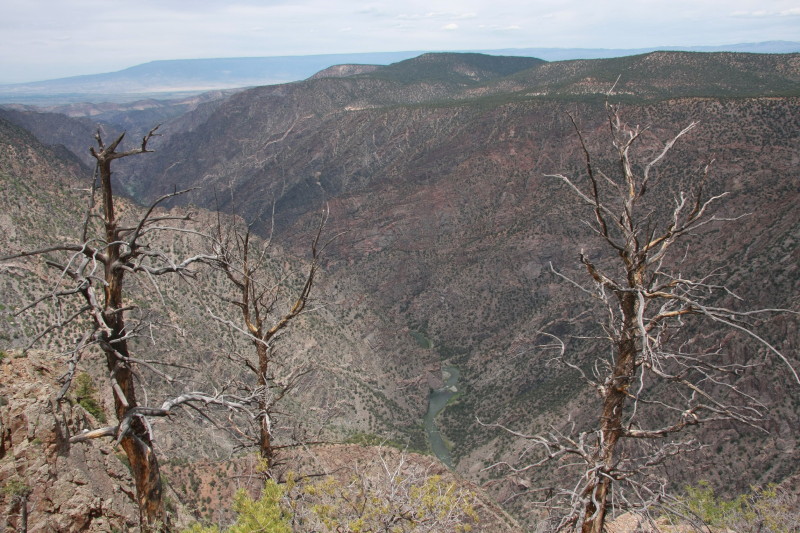 Colorado - Black canyon of the gunnison national park warner point trail (billede 07)
