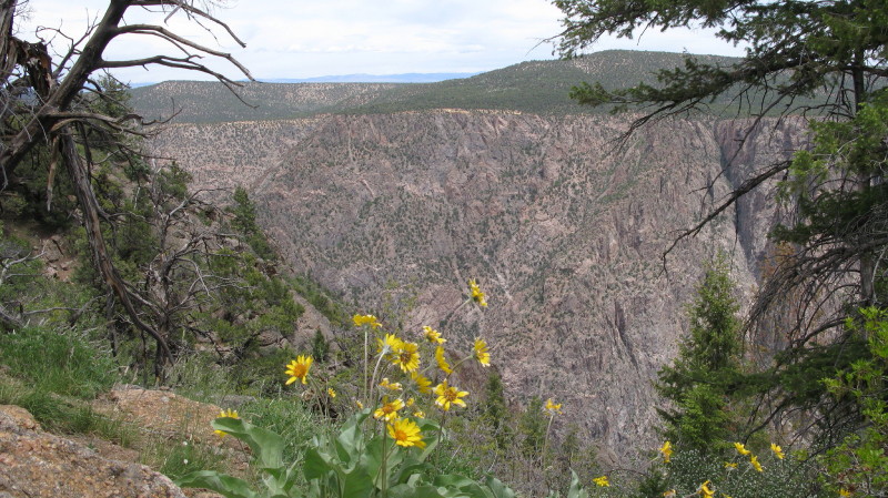 Colorado - Black canyon of the gunnison national park warner point trail (billede 09)