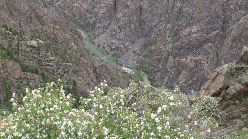 Colorado - Black canyon of the gunnison national park warner point trail (billede 11)
