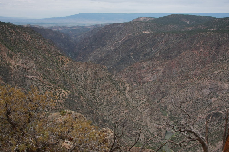 Colorado - Black canyon of the gunnison national park (billede 02)