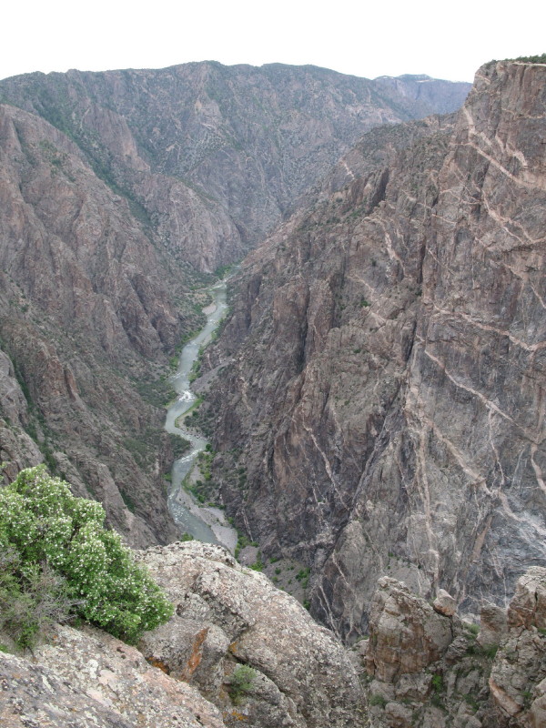 Colorado - Black canyon of the gunnison national park (billede 07)