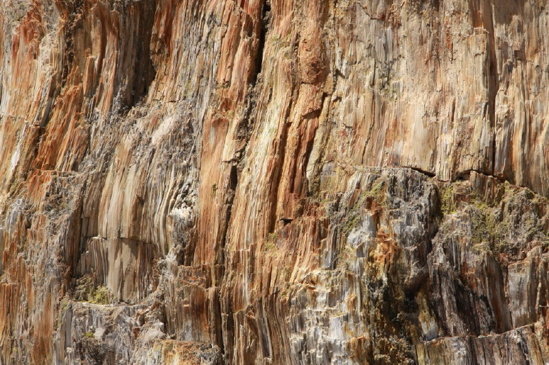Colorado - Florissant fossil beds national monument (billede 03)