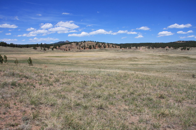 Colorado - Florissant fossil beds national monument (billede 04)