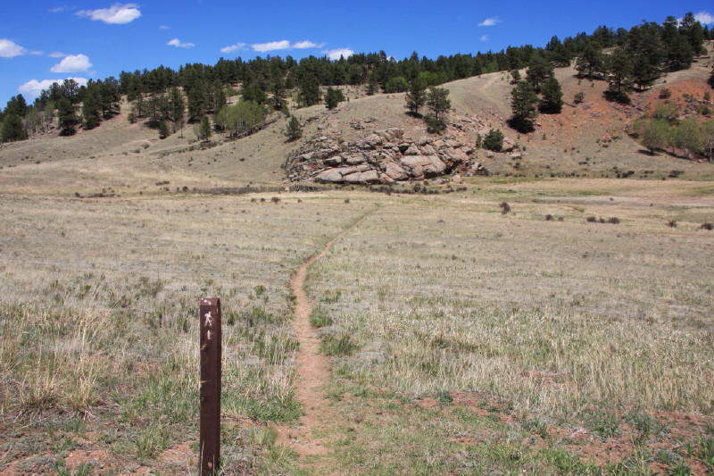 Colorado - Florissant fossil beds national monument (billede 08)
