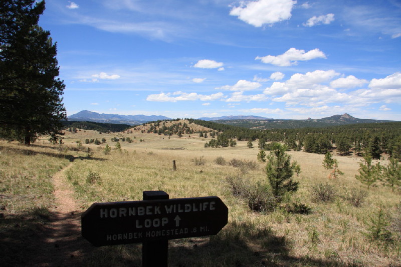 Colorado - Florissant fossil beds national monument (billede 12)