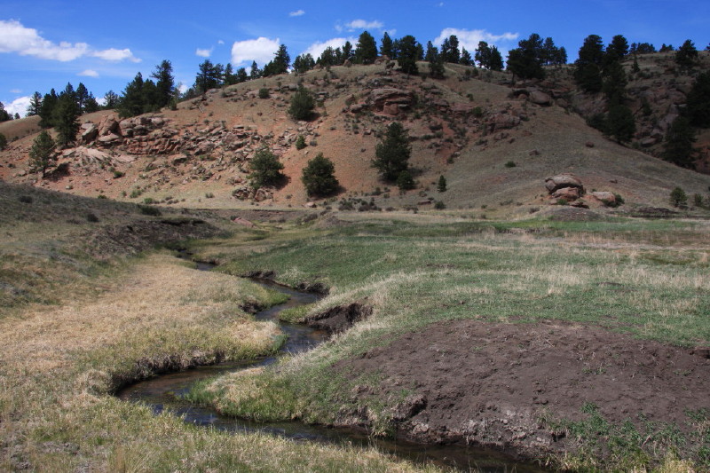 Colorado - Florissant fossil beds national monument (billede 22)