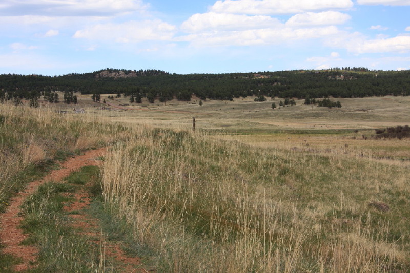 Colorado - Florissant fossil beds national monument (billede 25)