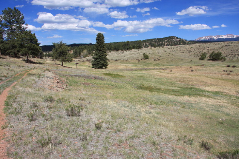 Colorado - Florissant fossil beds national monument (billede 28)
