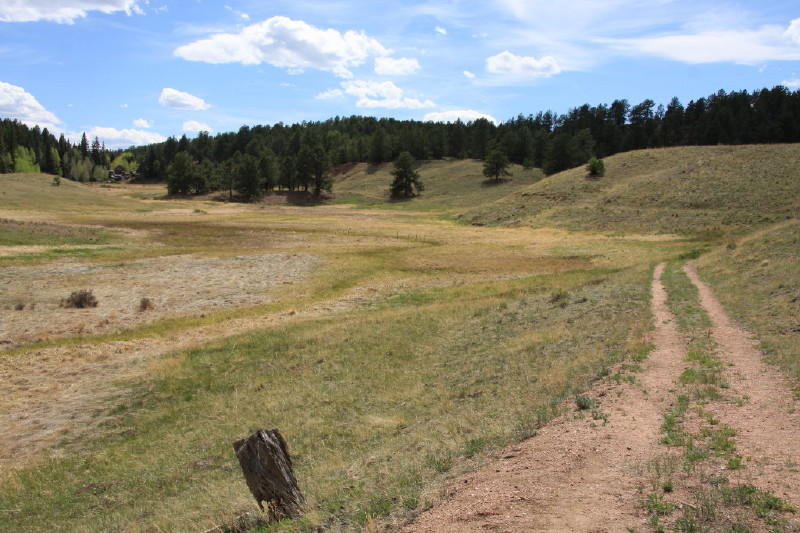 Colorado - Florissant fossil beds national monument (billede 29)
