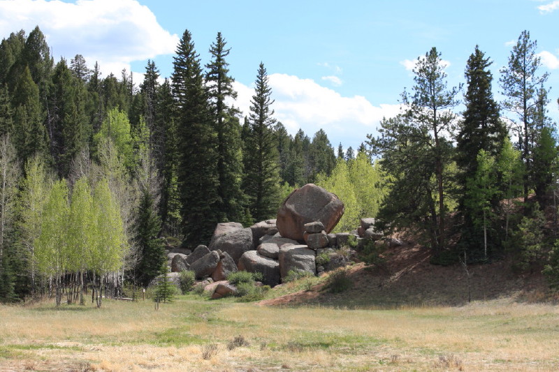 Colorado - Florissant fossil beds national monument (billede 31)