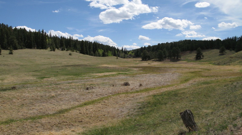 Colorado - Florissant fossil beds national monument (billede 41)