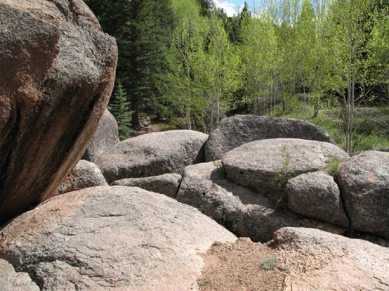 Colorado - Florissant fossil beds national monument (billede 43)