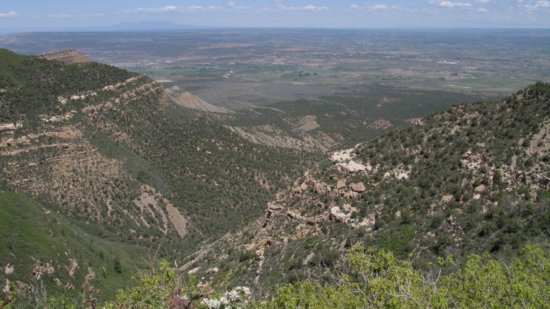 Mesa verda national park wetherill mesa road (billede 01)